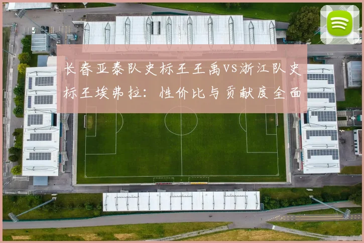 长春亚泰队史标王王禹vs浙江队史标王埃弗拉：性价比与贡献度全面对比