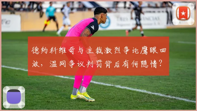 德约科维奇与主裁激烈争论鹰眼回放，温网争议判罚背后有何隐情？